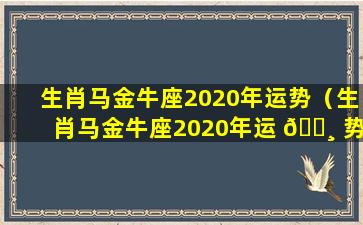 生肖马金牛座2020年运势（生肖马金牛座2020年运 🕸 势及运程）